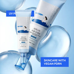 ROUND LAB Birch Juice Moisturizing Sun Serum SPF50+ PA++++ 50ml (3 Options)