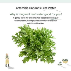 FarmStay Farmer’s Mugwort Cleansing Foam (180ml 6.08 fl.oz.) - Ieumhub