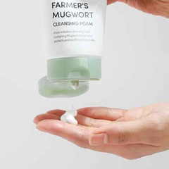 FarmStay Farmer’s Mugwort Cleansing Foam (180ml 6.08 fl.oz.) - Ieumhub