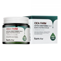 FARM STAY Cica Farm Active Conditioning Balm 80g + FARM STAY Cica Farm Recovery Ampoule 250ml