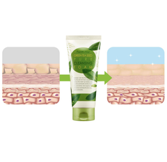 FARM STAY Green Tea Seed Pure Cleansing Foam 180ml (3 Options)