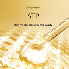 Ohui The First Geniture Eye Cream 55mL (Large Capacity)