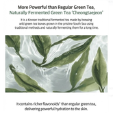 TONYMOLY Green Tea Moisturizing Skincare Line (TONER, LOTION, SERUM, CREAM, MIST) (16 Options)