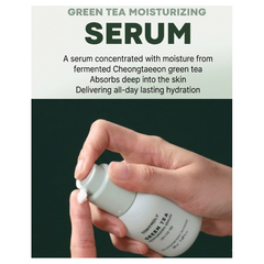 TONYMOLY Green Tea Moisturizing Skincare Line (TONER, LOTION, SERUM, CREAM, MIST) (16 Options)