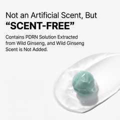 VT PDRN Capsule Cream 100 50ml (3 Options)