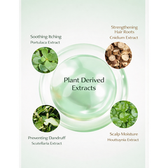 3W CLINIC Collagen & Luxury Gold 3 in 1 Shampoo 750ml (2 Options)