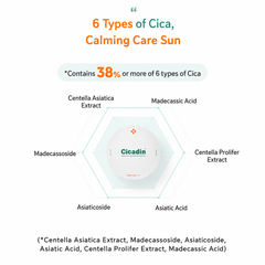 MISSHA Cicadin Rescue Ato Big Cushion Sun 25g / Mild Sun Cream 40ml / Water Sun Stick 19g (10 Options)