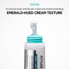 ANUA PDRN Hyaluronic Acid 100 Moisturizing Cream 60ml (3 Options)