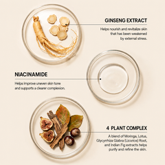 farmstay ginseng & niacinamide premium facial & neck roller serum 100ml (3 options)