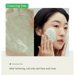 FULLY Vegan Pack Cleanser 3 Types (Green Tomato / Red Tomato / Rice Dough) 10 Options