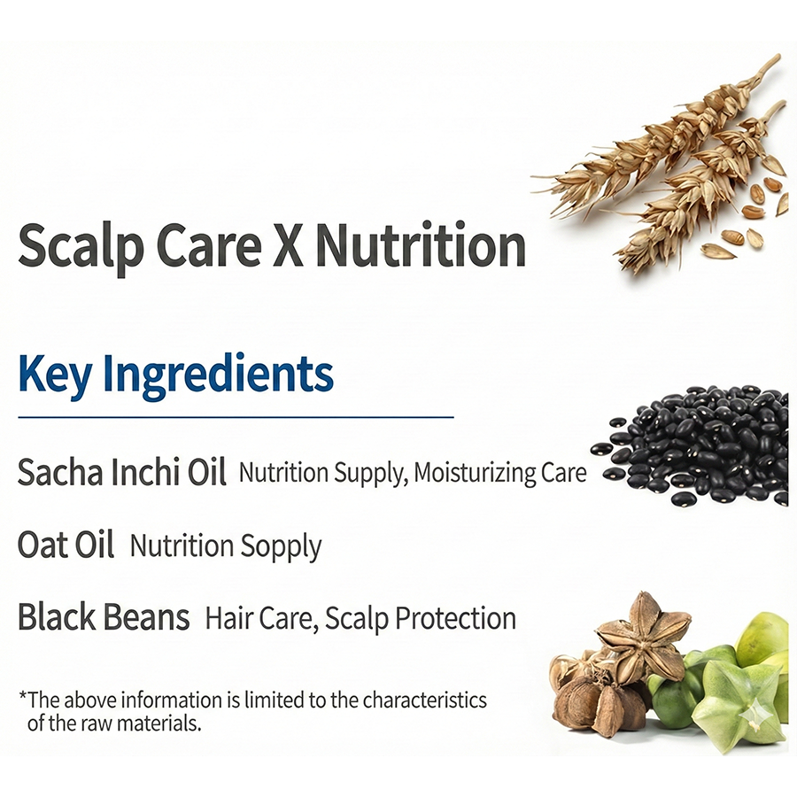 Dr.SEED Super Seed Bomb Shampoo, Treatment, Body Wash 500ml, 1000ml (Bebe Musk, Midnight Rose) (30 Options)