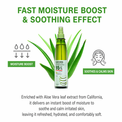 Welcos Kwailnara Aloe Vera Moisture Aqua Soothing Gel Mist 310ml (3 Options) - DAISO