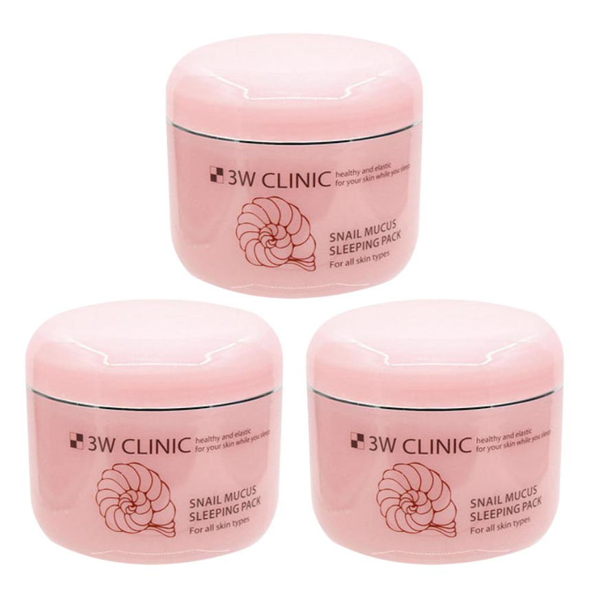 3W CLINIC Snail Sleeping Pack 100ml (3 Options)