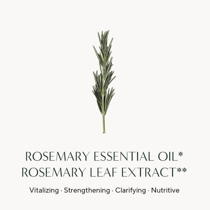 Aromatica Rosemary Root Enhancer 100ml, Refill 100ml (7 Options)