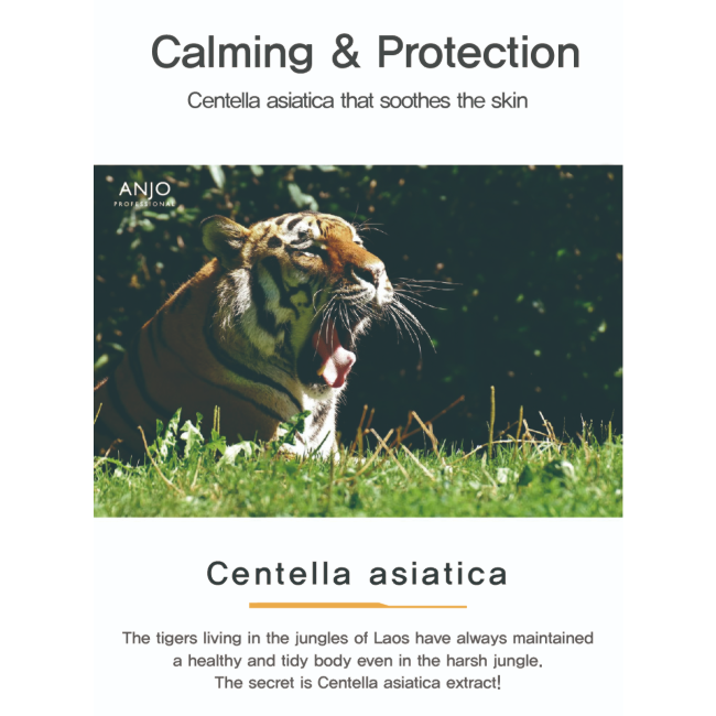 ANJO MY CICA Feminine Cleanser 500ml (7 Options)