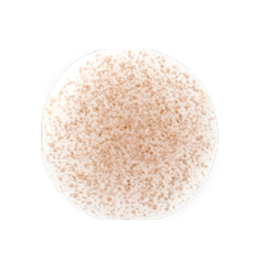 LIZDA NEW Zero Fit Cover Capsule Foundation 35g (3 Options)
