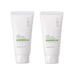 Welcos Shingmulwon Aloe Fresh Soothing Big Foam Cleanser 300ml  (3 Options) - DAISO