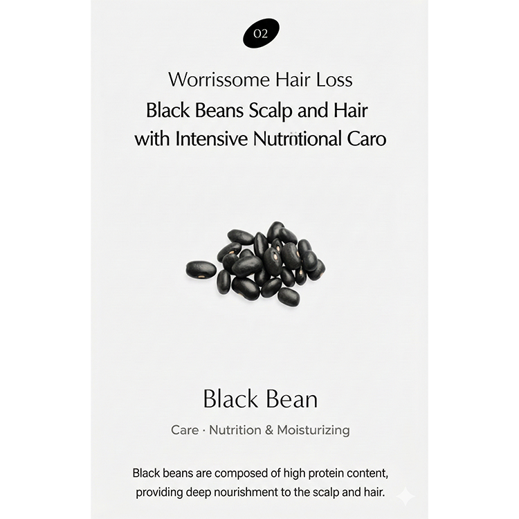 Dr.SEED Black Bean Vegan Anti-Hair Loss Line (Shampoo 1000ml · Hair Tonic 150ml · Treatment Hair Pack 250ml) (13 Options)