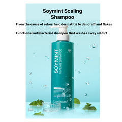 Medicube Soymint Scaling Shampoo (for Seborrheic/Oily Scalp) 490ml (3 Options)
