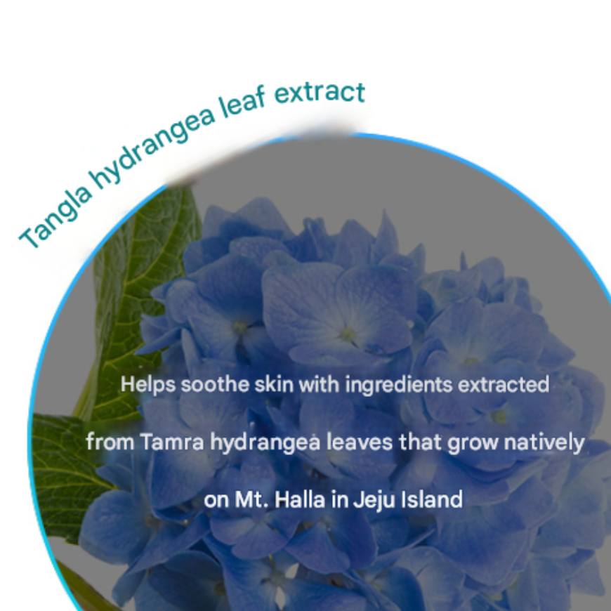 ohui Miracle Aqua Gel Cream 50ml / ohui Miracle Aqua Essence 45ml (7 Options)