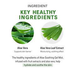 Welcos Kwailnara Aloe Vera Moisture Aqua Soothing Gel Mist 310ml (3 Options) - DAISO