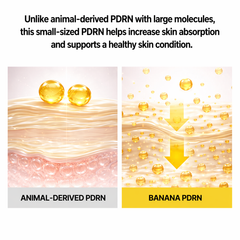 SHAISHAISHAI Banana PDRN Conceal Eye Cream 15g (7 Options)