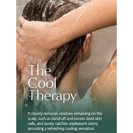 Dr.SEED Peppermint & Lemon Vegan Dandruff Care Cool Shampoo 1000ml , Scalp Scrub Shampoo 250ml (7 Options)