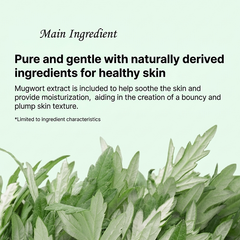 Enough Refresher Hand Cream (Heartleaf / Mung Bean / Carrot / Mugwort) 100ml (13 Options)