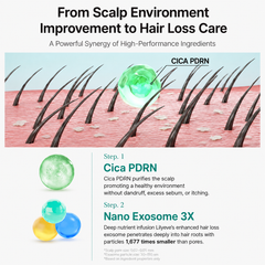 lilyeve Scalp:Turn CICA PDRN Brush Ampoule 100ml / lilyeve  Growturn Exosome Brush Ampoule 100ml (6 Options)