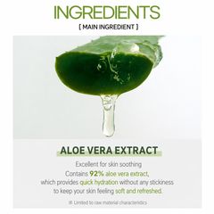 Welcos Shingmulwon Aloe Fresh Soothing Gel 300ml (3 Options) - DAISO