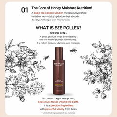 MISSHA Bee Pollen Renew Moisturizer 130ml (3 Options)