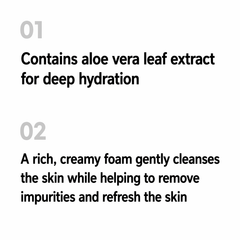 Welcos Shingmulwon Aloe Fresh Soothing Big Foam Cleanser 300ml  (3 Options) - DAISO