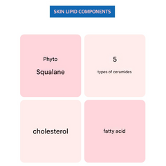 The Face Shop DR. BELMEUR Daily Repair Toner for Sensitive and Delicate Skin (200 ml / 6.7 fl. oz.) (3 Options)