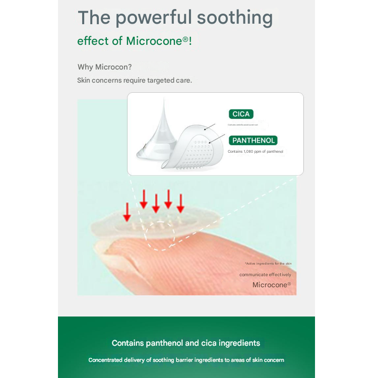 BIOHEAL BOH Panthecell™ Repair Cica Micro Spot Patch (9+3 Patches)