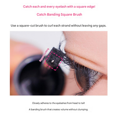 Etude Curl Fix Mascara 8g (4 Options)