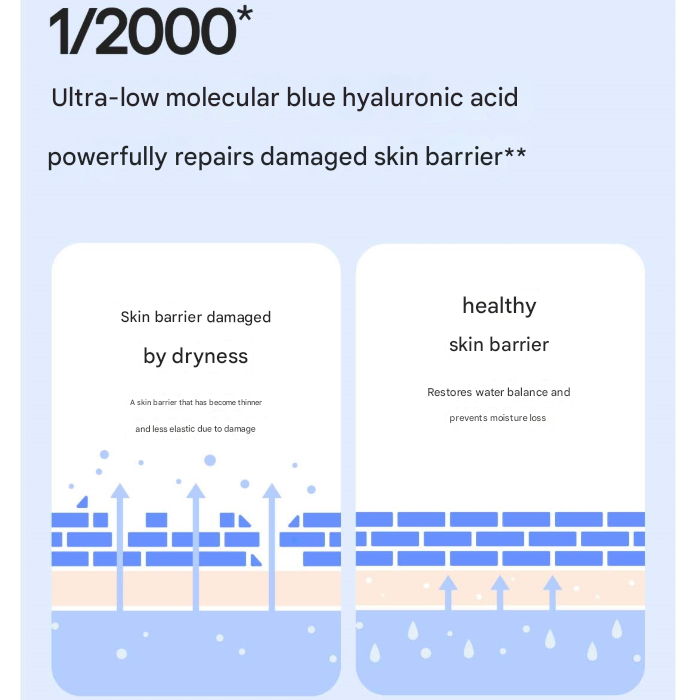 Laneige Blue Hyaluronic Skincare Set (Essence 160ml + Emulsion 120ml)