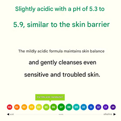 Chorok Chorong Vegan Herb AHA Mildly Acidic Cleansing Foam 150g (3 Options)